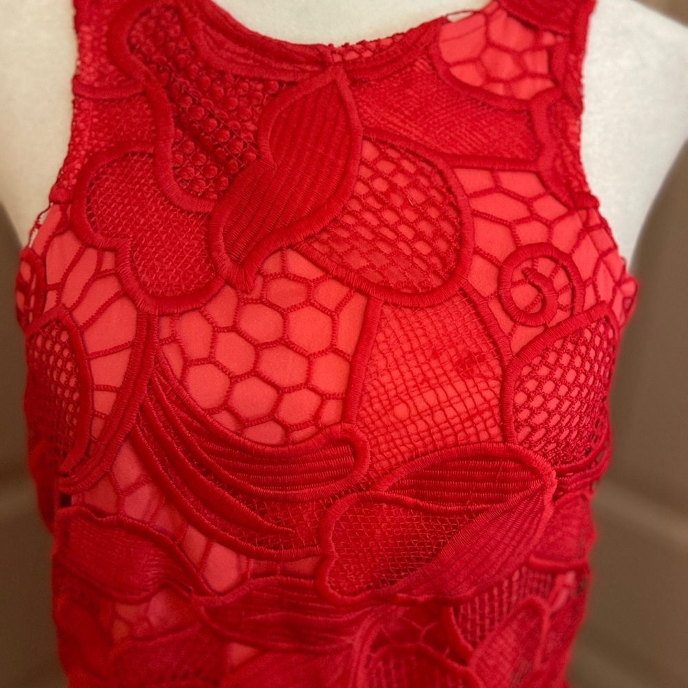 Lovers + Friends red lace sleeveless back zip scoop neck mini dress Size S. - Picture 3 of 10